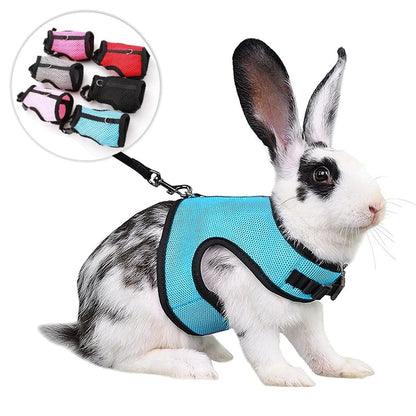 Multi-Color Breathable Vest Harness & Leash Set