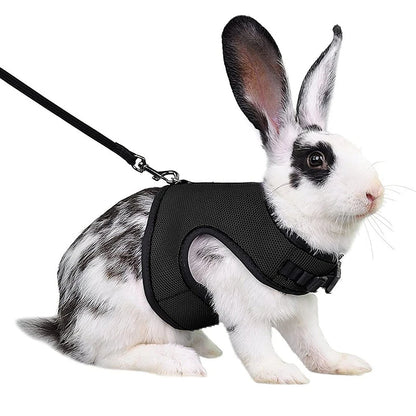 Multi-Color Breathable Vest Harness & Leash Set