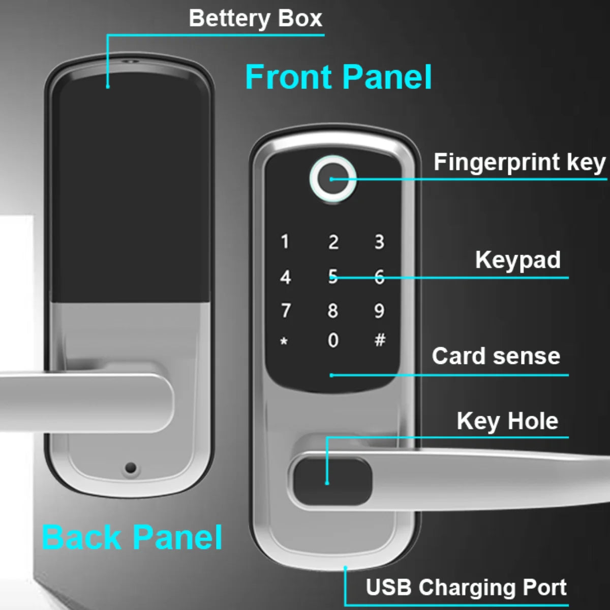 WiFi Electronic Smart Door Lock