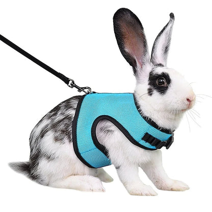 Multi-Color Breathable Vest Harness & Leash Set