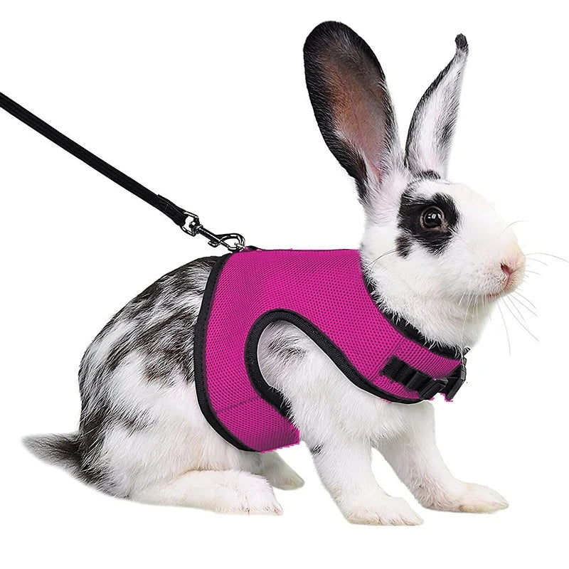 Multi-Color Breathable Vest Harness & Leash Set