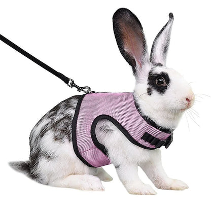 Multi-Color Breathable Vest Harness & Leash Set
