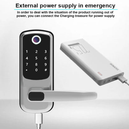WiFi Electronic Smart Door Lock