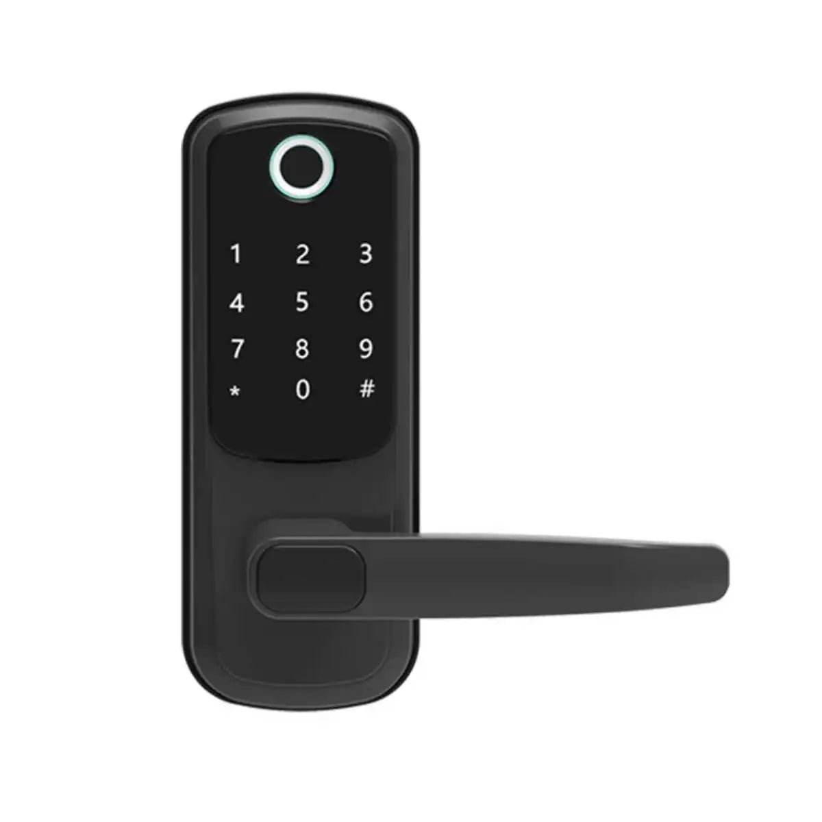 WiFi Electronic Smart Door Lock