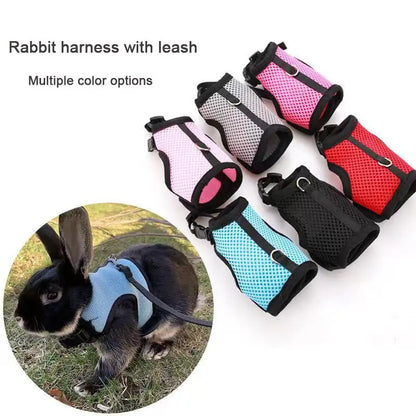 Multi-Color Breathable Vest Harness & Leash Set
