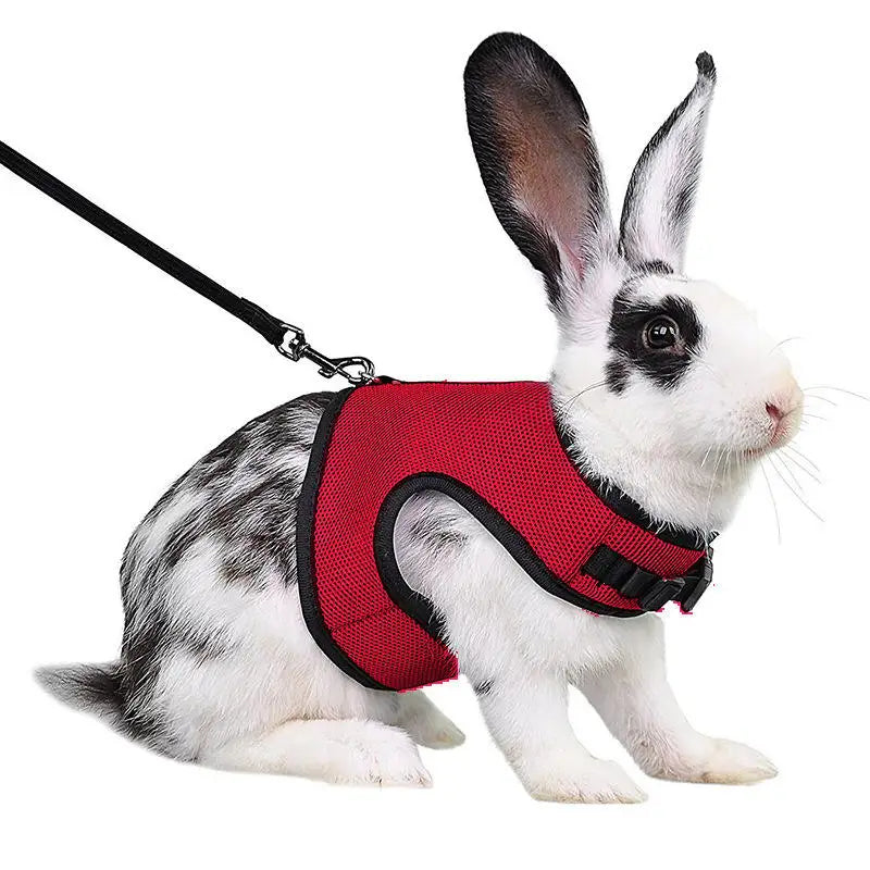 Multi-Color Breathable Vest Harness & Leash Set