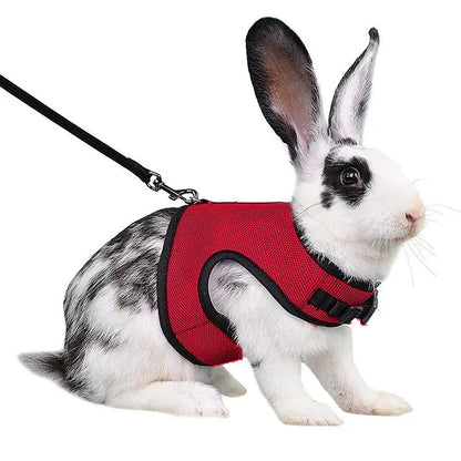 Multi-Color Breathable Vest Harness & Leash Set